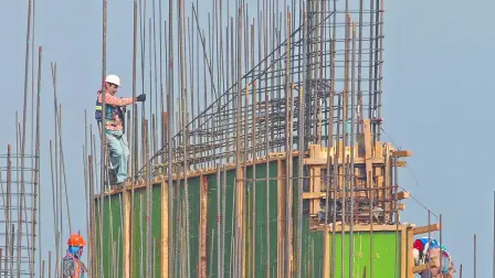 Descripción automática