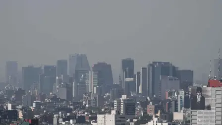 El Sistema de Monitoreo Atmosférico de la Ciudad de México indicó que los modelos meteorológicos presentan la persistencia del sistema de alta presión sobre la región central del país.

Para más información del tema, visita: https://www.eleconomista.com.mx/politica/came-mantiene-fase-i-contingencia-ambiental-valle-mexico-viernes-13-febrero-20260213-799818.html

¡Síguenos en nuestras redes sociales para mantenerte informado!

Twitter: https://twitter.com/eleconomista 
Facebook: https://www.facebook.com/ElEconomista.mx
Instagram: https://www.instagram.com/eleconomistamx
LinkedIn: https://www.linkedin.com/company/el-economista/

#ElEconomista #Contingencia