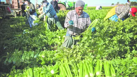 Texto alternativo automático