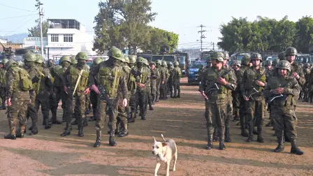 Texto alternativo automático