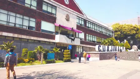 Texto alternativo automático