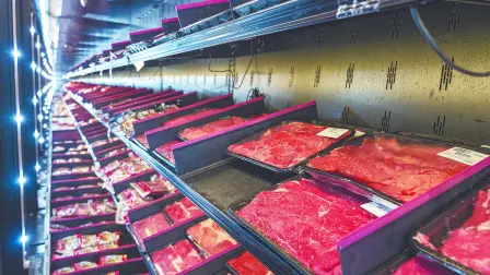 Texto alternativo automático