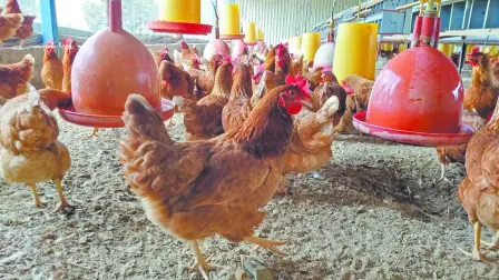 El bienestar animal se integra cada vez más a los marcos internacionales de sostenibilidad.