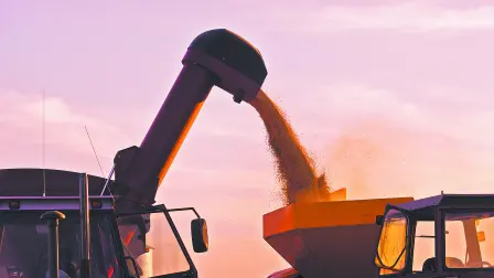 Texto alternativo automático