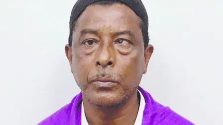 Texto alternativo automático