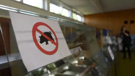 España ⁠alertó a la OMS de lo que cree que es ‌una transmisión entre humanos del virus de la gripe ⁠porcina en su variante A(H1N1), según ⁠informó este viernes a Reuters un portavoz de ‌las autoridades sanitarias de la región de Cataluña.