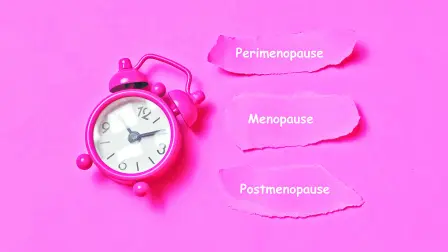 Las etapas que se desarrollan en la menopausia.