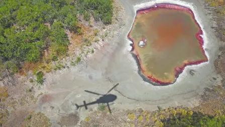 Texto alternativo automático