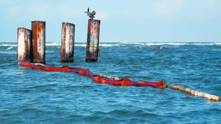 Texto alternativo automático