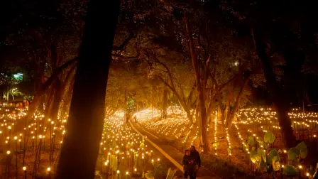 “Rafael Lozano-Hemmer: Jardín Inconcluso”, en el MAM.