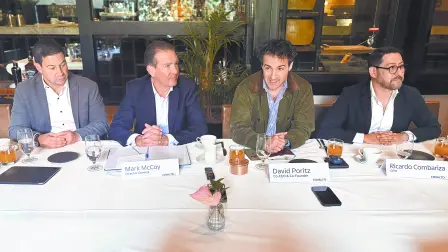 Texto alternativo automático