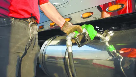 Texto alternativo automático