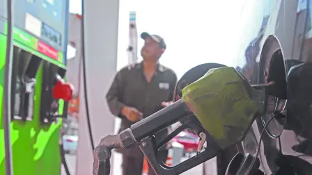 Texto alternativo automático