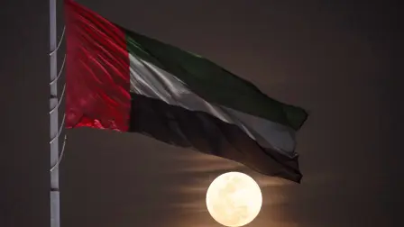 Bandera de los Emiratos Árabes Unidos-