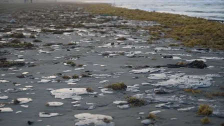 Un derrame de petróleo afecta a pescadores y comunidades costeras en Veracruz