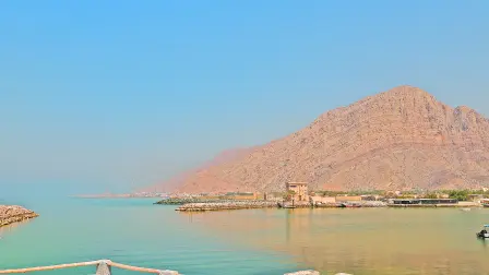 Texto alternativo automático