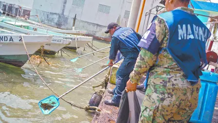 Texto alternativo automático