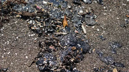 Crude oil slicks are pictured on a beach in Alvarado, Veracruz state, Mexico on March 24, 2026. Mexican authorities and local residents have removed more than 30 tons of "contaminated material" from beaches in the state of Veracruz (in eastern Mexico) following an oil spill reported in early March 2026, the Navy Secretariat announced on March 24. (Photo by Victoria RAZO / AFP)