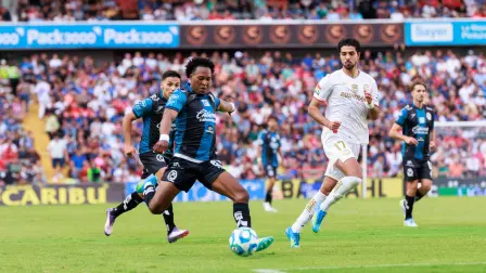 Foto: Cuenta X Gallos Blancos