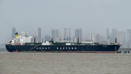 Irán anunció que Irak estaba ‌exento de cualquier restricción.