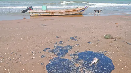 Texto alternativo automático