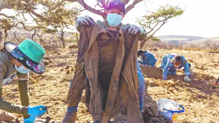 Texto alternativo automático