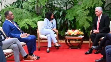 Miguel Díaz-Canel se reunió con demócratas estadounidenses.
