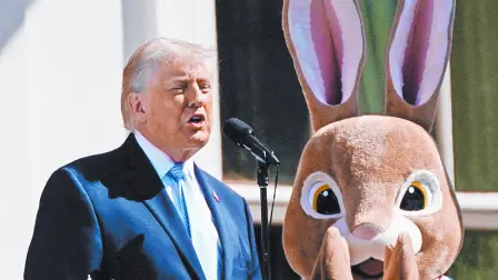 Texto alternativo automático