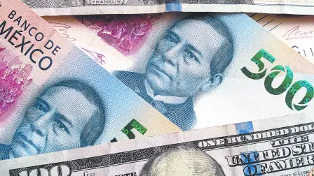 Texto alternativo automático