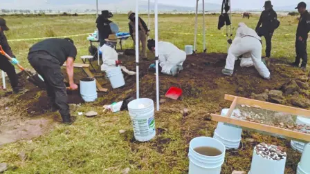 Texto alternativo automático