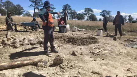 Foto: Comisión Federal de Electricidad