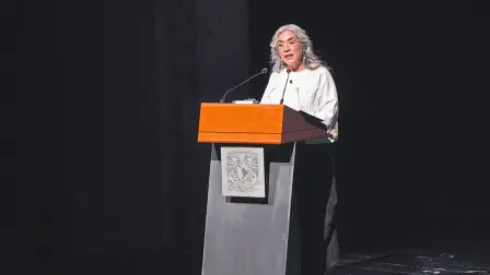 Texto alternativo automático