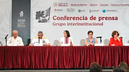 Grupo interinstitucional