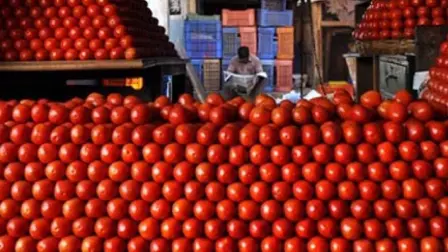 De acuerdo con GCMA, los hogares pagan 3.26 veces más de lo que recibe un productor, principalmente por presiones en la parte de la comercialización previa al consumidor final.

Para más información del tema, visita: https://www.eleconomista.com.mx/finanzaspersonales/jitomate-subio-100-precio-100-pesos-kilo-supermercados-20260417-809151.html

¡Síguenos en nuestras redes sociales para mantenerte informado!

Twitter: https://twitter.com/eleconomista 
Facebook: https://www.facebook.com/ElEconomista.mx
Instagram: https://www.instagram.com/eleconomistamx
LinkedIn: https://www.linkedin.com/company/el-economista/

#ElEconomista #Jitomate #Inflación