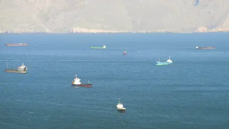 Texto alternativo automático