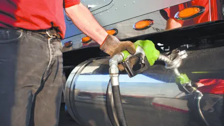 Texto alternativo automático