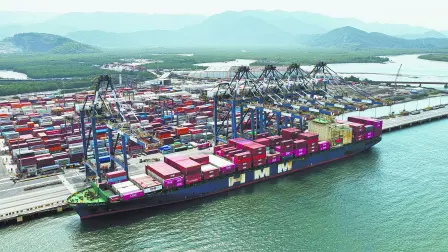 Texto alternativo automático