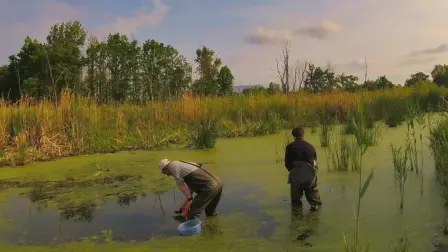 Trabajo de campo en la Zona de Exclusión de Chernóbil (Ucrania), mayo de 2019. Germán Orizaola (Universidad de Oviedo).