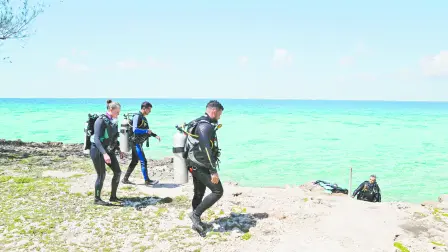 Texto alternativo automático