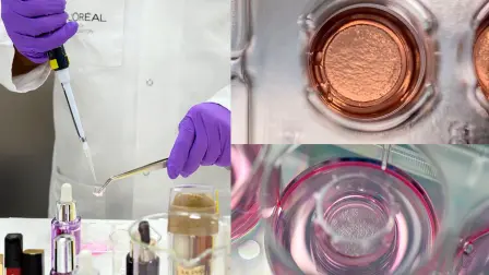 Loreal, maquillaje, productos de belleza.