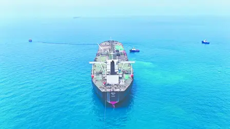 Texto alternativo automático