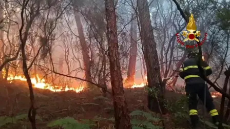 Más de 800 hectáreas fueron arrasadas por el fuego en las montañas situadas entre las ciudades de Lucca y Pisa
