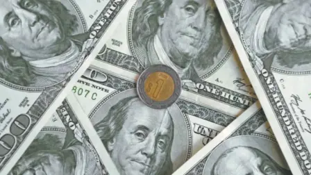 La divisa local cedió terreno en un mercado nervioso por señales de un posible aumento en las tensiones relacionadas con el tránsito en el estrecho de Ormuz.