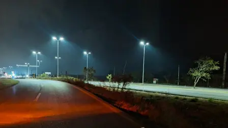 Foto: Gobierno de Tamaulipas