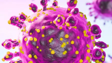 El hantavirus se trata de un virus peligroso, pero únicamente para la persona realmente infectada.

Para más información del tema, visita: https://www.eleconomista.com.mx/internacionales/hantavirus-riesgo-brote-poblacion-absolutamente-insiste-oms-20260510-812769.html

¡Síguenos en nuestras redes sociales para mantenerte informado!

Twitter: https://twitter.com/eleconomista 
Facebook: https://www.facebook.com/ElEconomista.mx
Instagram: https://www.instagram.com/eleconomistamx
LinkedIn: https://www.linkedin.com/company/el-economista/

#ElEconomista #Hantavirus #OMS