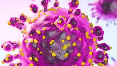 Aunque hasta el momento México no registra casos confirmados, el Conave activó un aviso epidemiológico en todo el país por el brote de hantavirus de los Andes detectado en un crucero de expedición MV Hondius

Para más información del tema, visita:  https://www.eleconomista.com.mx/politica/secretaria-salud-emite-aviso-epidemiologico-hantavirus-brote-crucero-20260512-813178.html
¡Síguenos en nuestras redes sociales para mantenerte informado!

Twitter: https://twitter.com/eleconomista 
Facebook: https://www.facebook.com/ElEconomista.mx
Instagram: https://www.instagram.com/eleconomistamx
LinkedIn: https://www.linkedin.com/company/el-economista/

#ElEconomista #EETV