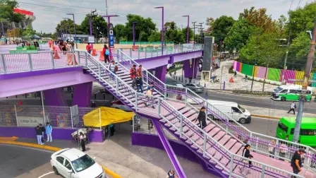 La iniciativa ha generado críticas y una ola de memes en redes sociales, mientras especialistas cuestionan posibles riesgos viales y ambientales.