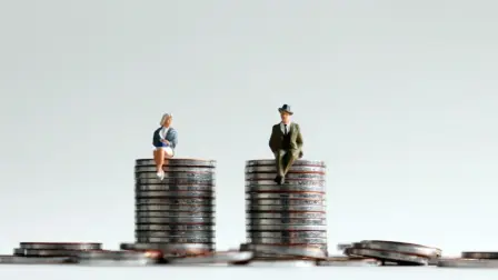 El sistema nacional de indicadores que se propone emita la STPS en colaboración con la SHCP y autoridades laborales de los estados busca medir la brecha salarial de todo el país con el fin de cumplir el principio de "a trabajo igual corresponderá salario igual".