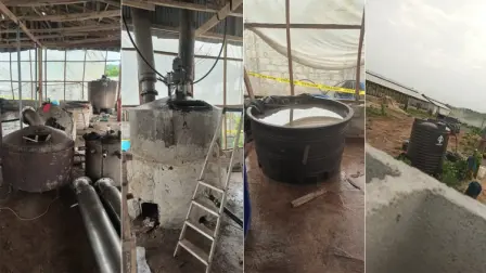 Durante el operativo detuvieron a nueve sospechosos, incluidos tres ciudadanos mexicanos.