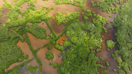 Areas naturales de Yucatán.